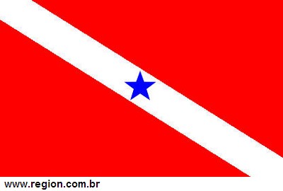 Bandeira do Estado do Pará